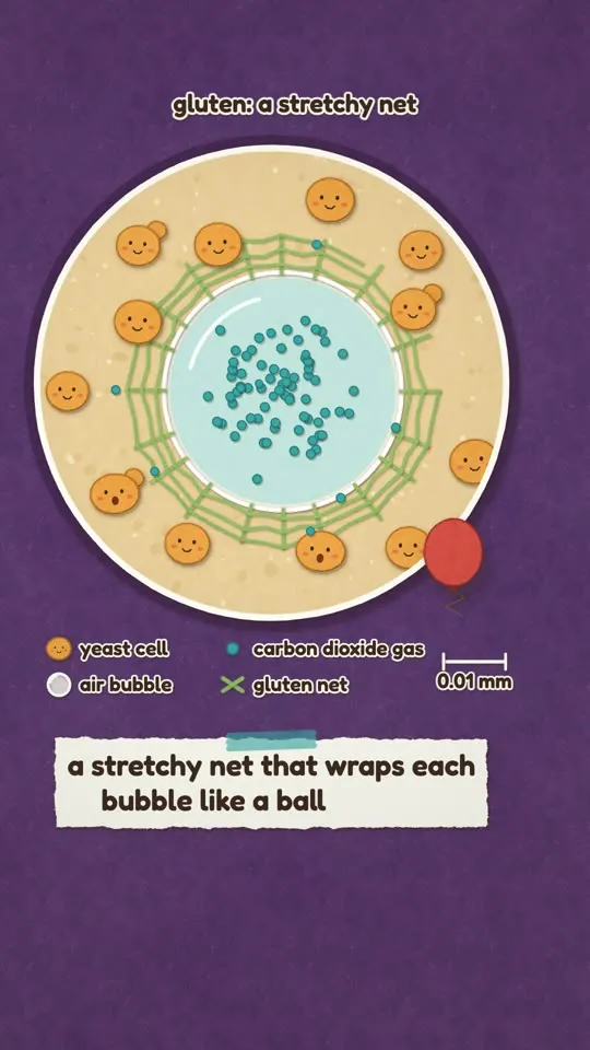 Paper Cut style: a paper-cut diagram of gas bubbles trapped in bread dough